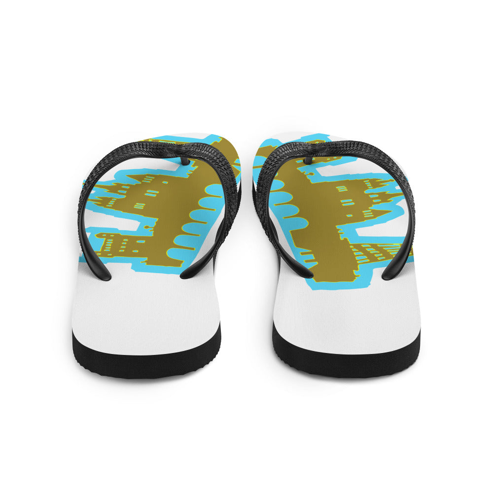 Flip-Flops