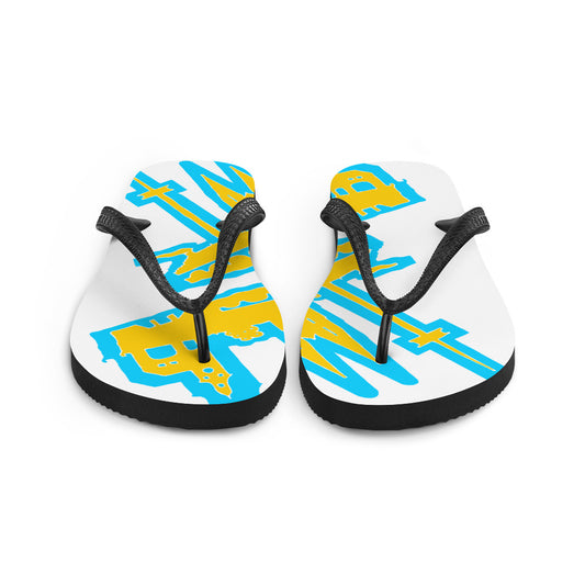 Flip-Flops