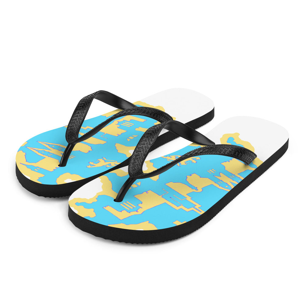 Flip-Flops