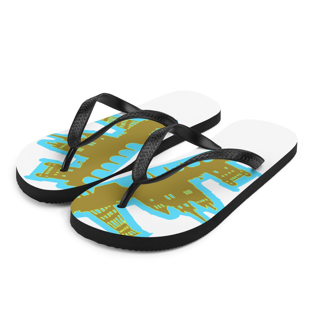 Flip-Flops