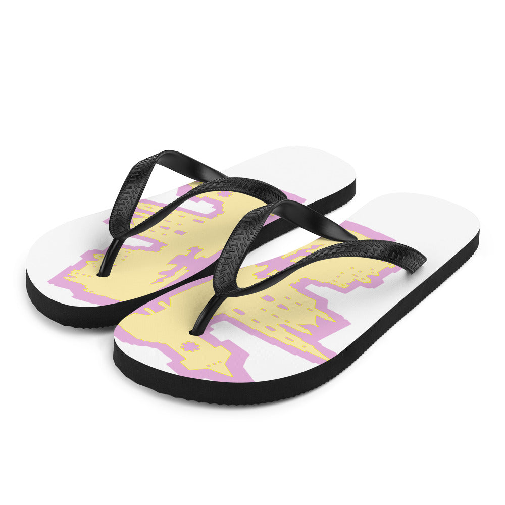 Flip-Flops