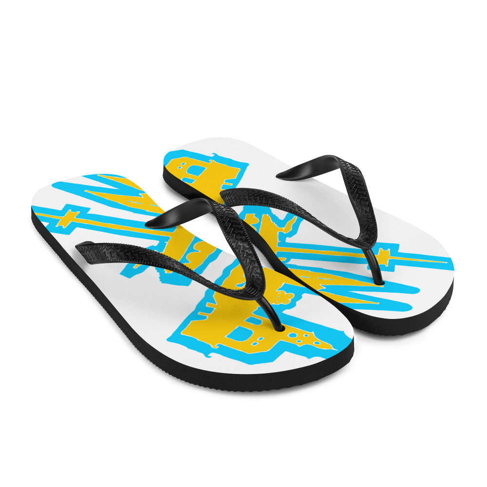 Flip-Flops