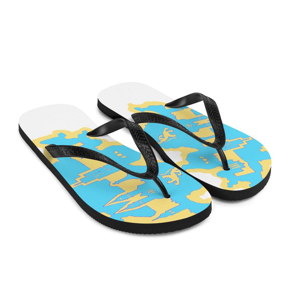 Flip-Flops