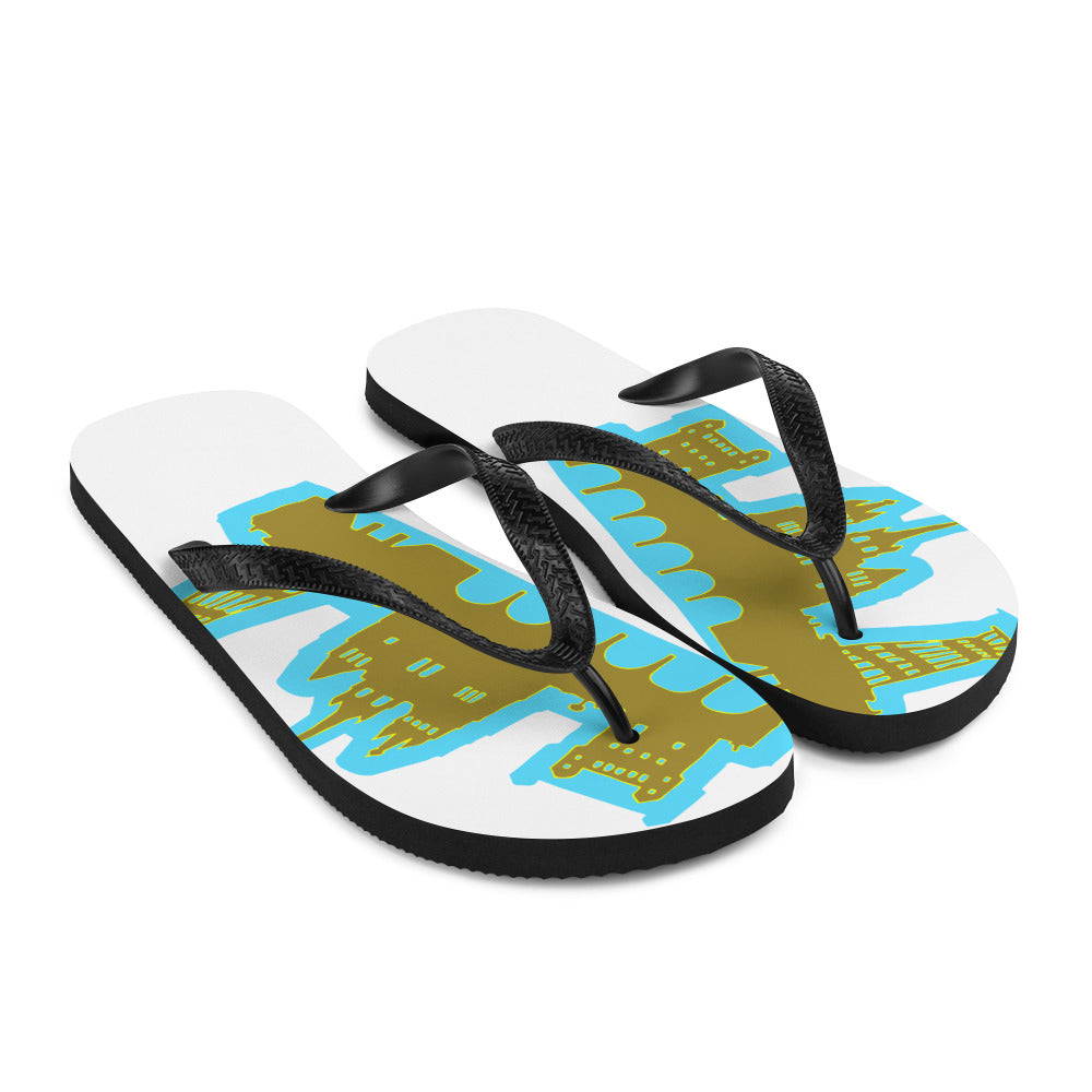 Flip-Flops