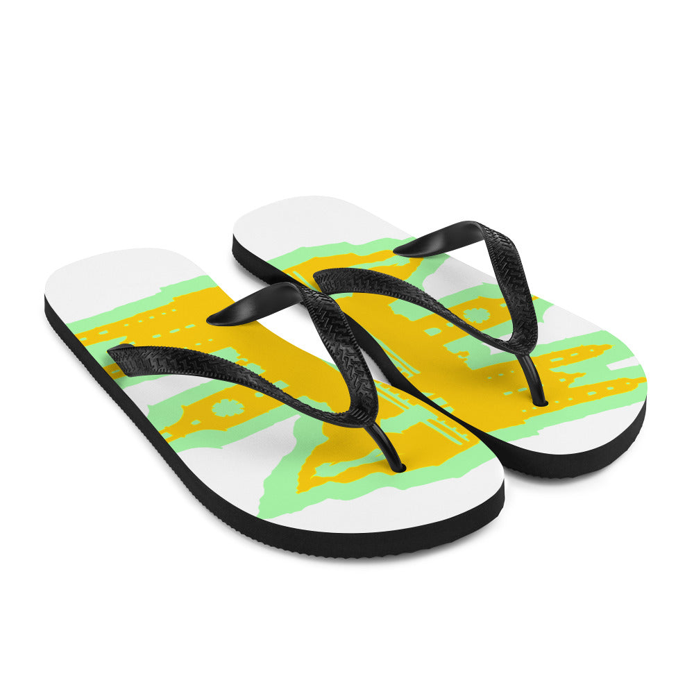 Flip-Flops