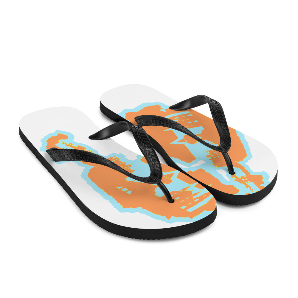 Flip-Flops