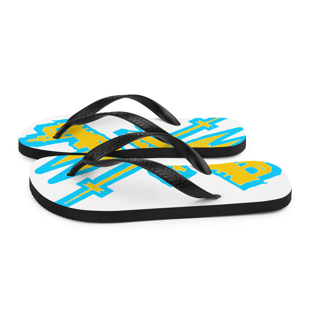 Flip-Flops