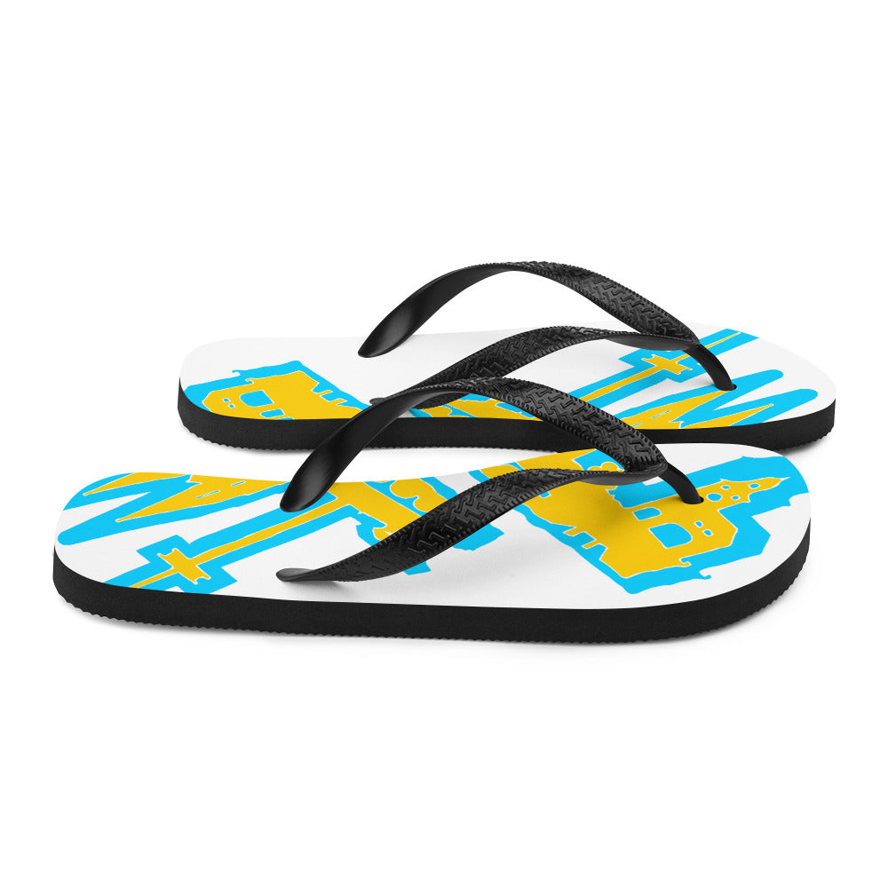 Flip-Flops