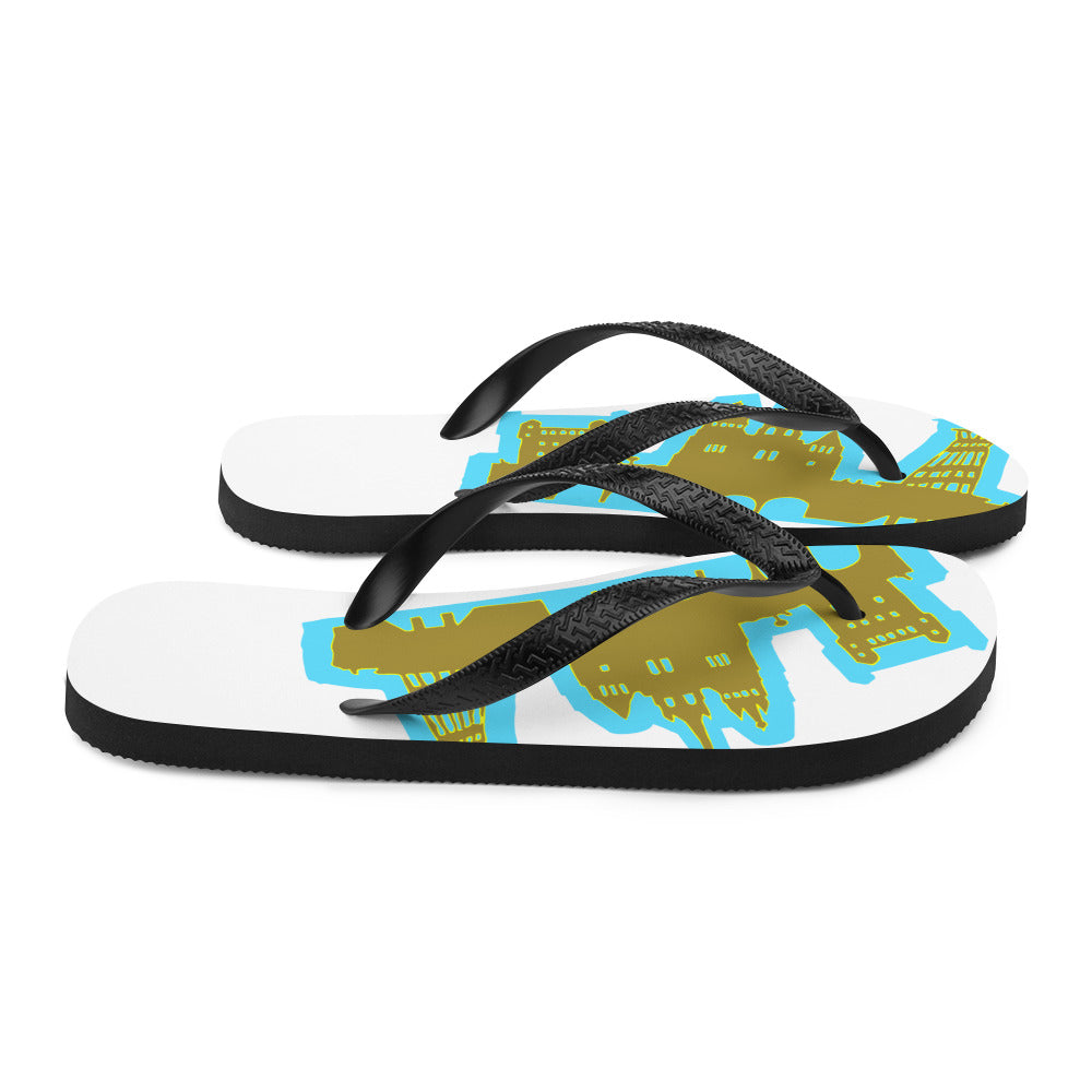 Flip-Flops