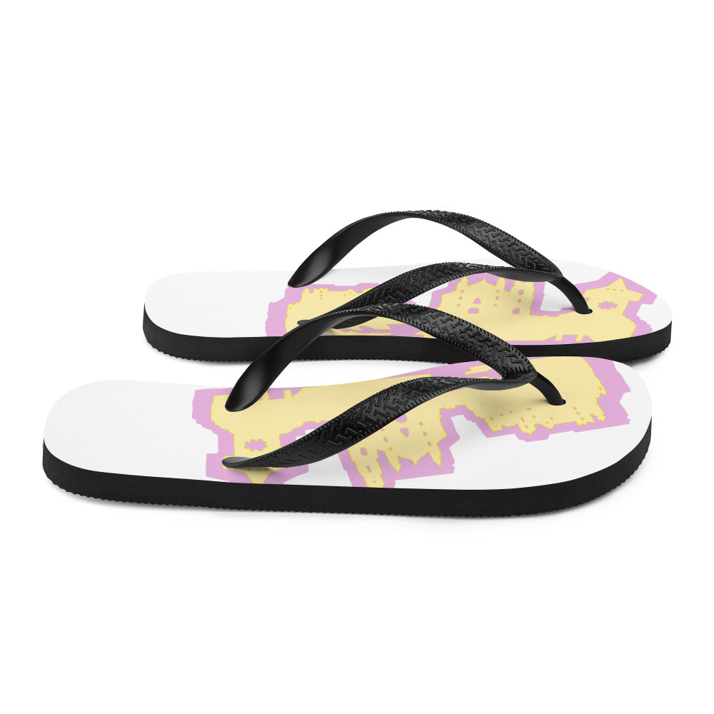 Flip-Flops